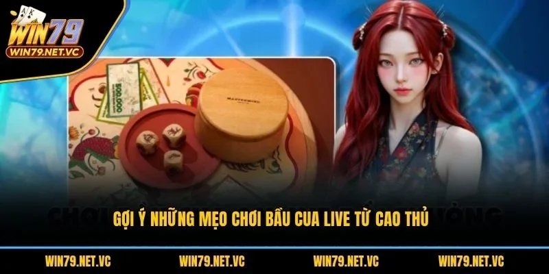 Gợi ý những mẹo chơi bầu cua live từ cao thủ